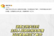 娱乐圈吃瓜运营模式是什么,流量密码背后的秘密解析